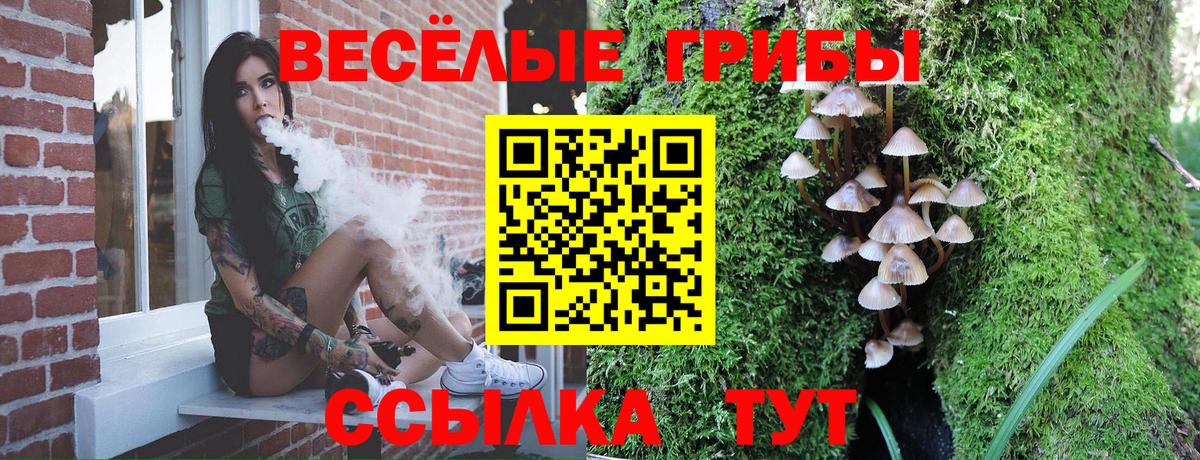 Галлюциногенные грибы мицелий  Галлюциногенные грибы мухоморы  Вход с VPN  Гудермес 