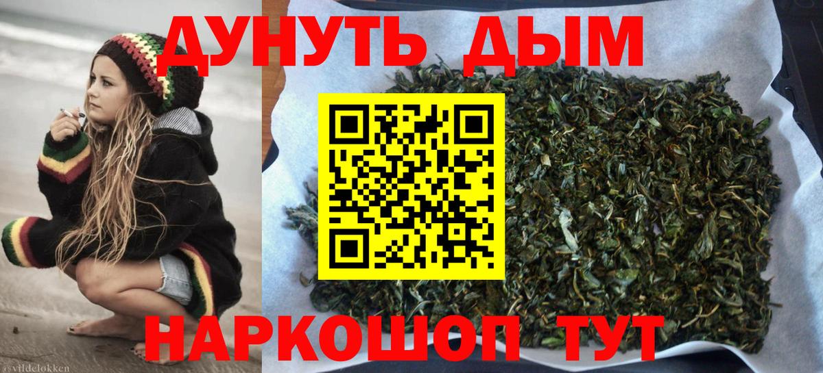 Каннабис конопля Гудермес